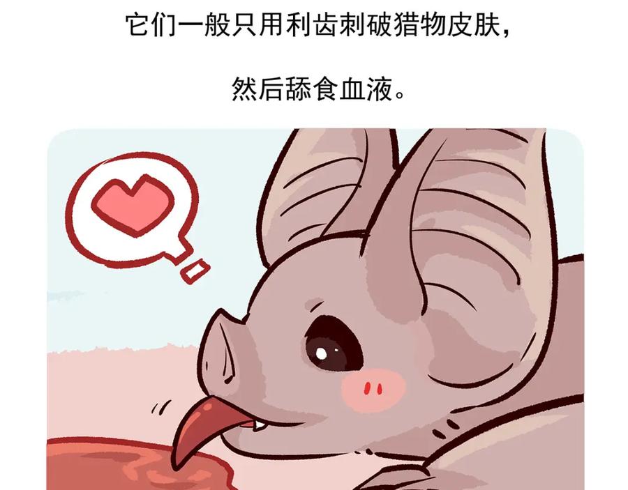 《胖达x胖达》第43话 第32页