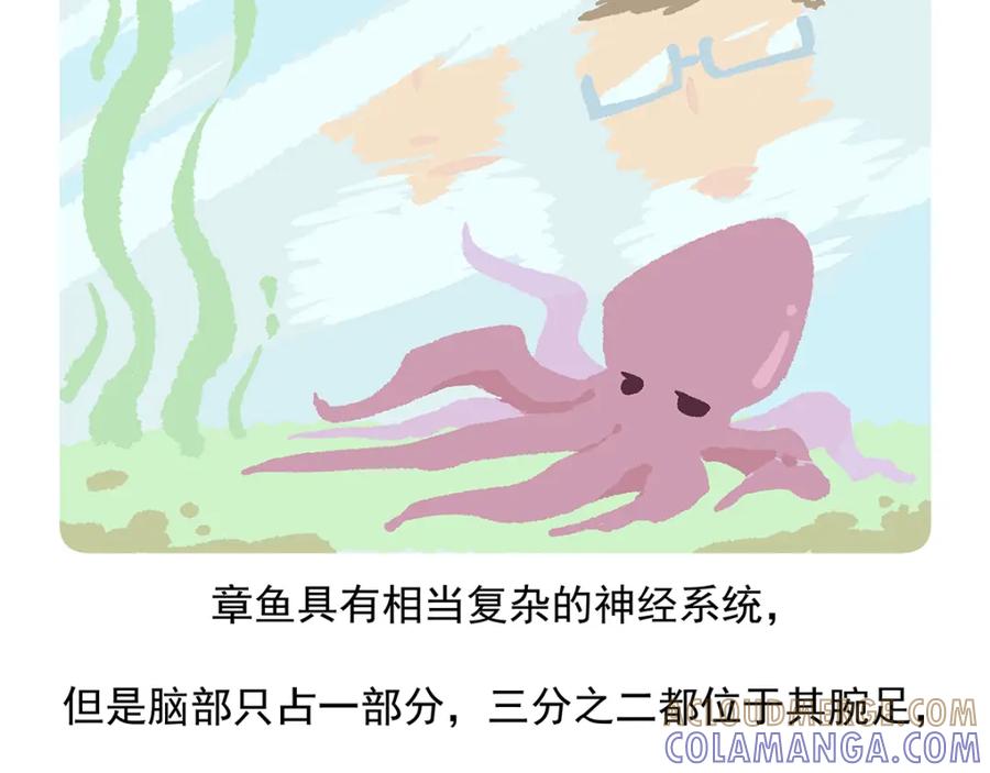 《胖达x胖达》第43话 第15页