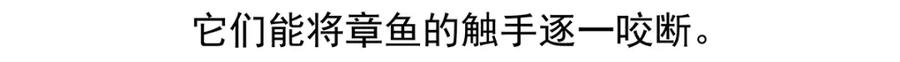《胖达x胖达》第43话 第23页