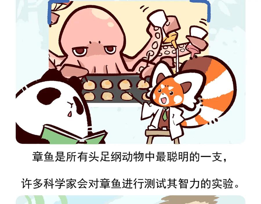 《胖达x胖达》第43话 第14页