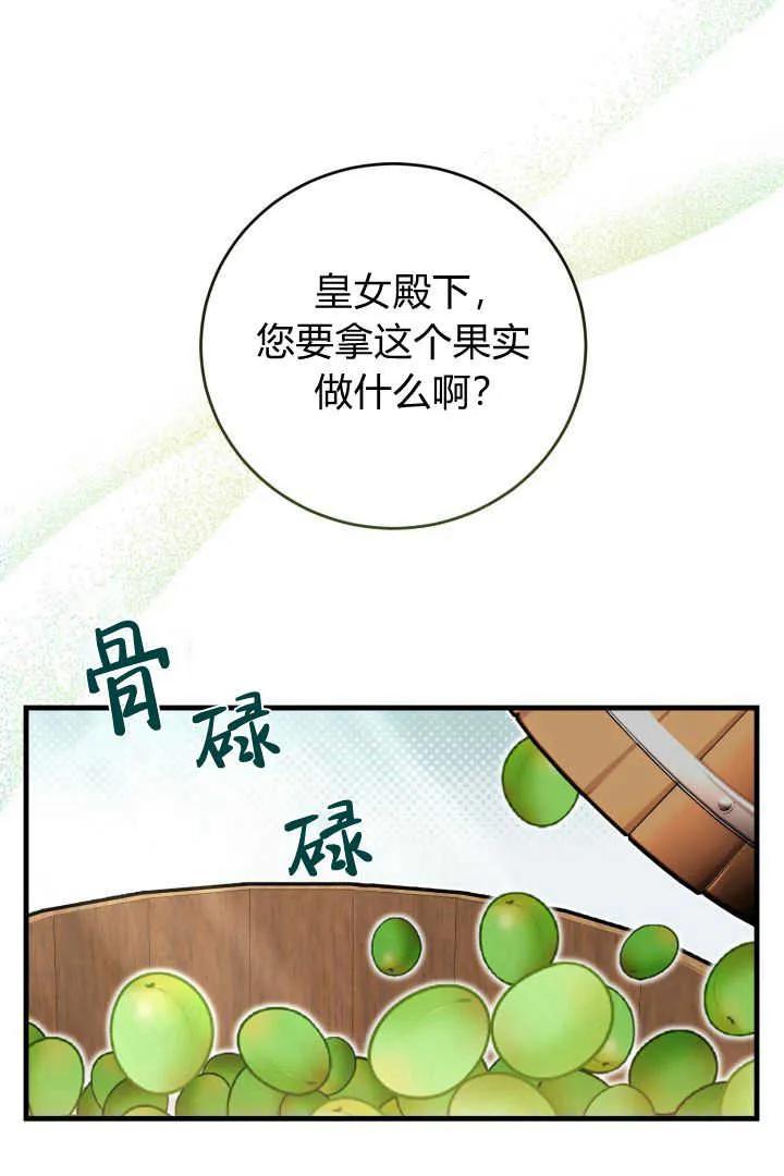《小皇女药剂师》第10话 第74页