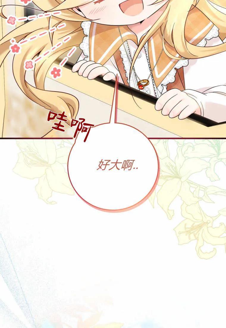 《小皇女药剂师》第27话 第102页