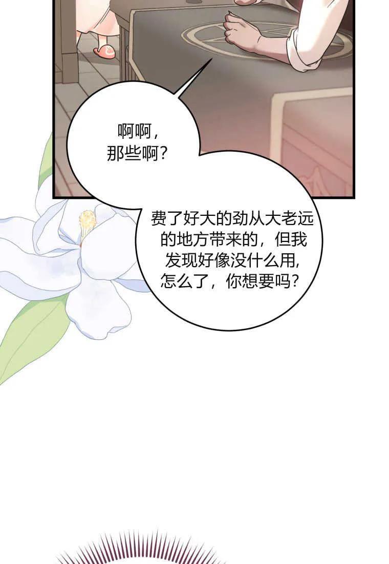 《小皇女药剂师》第31话 第46页