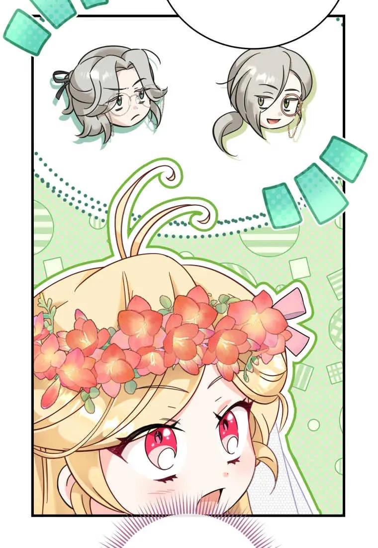 《小皇女药剂师》第37话 第43页