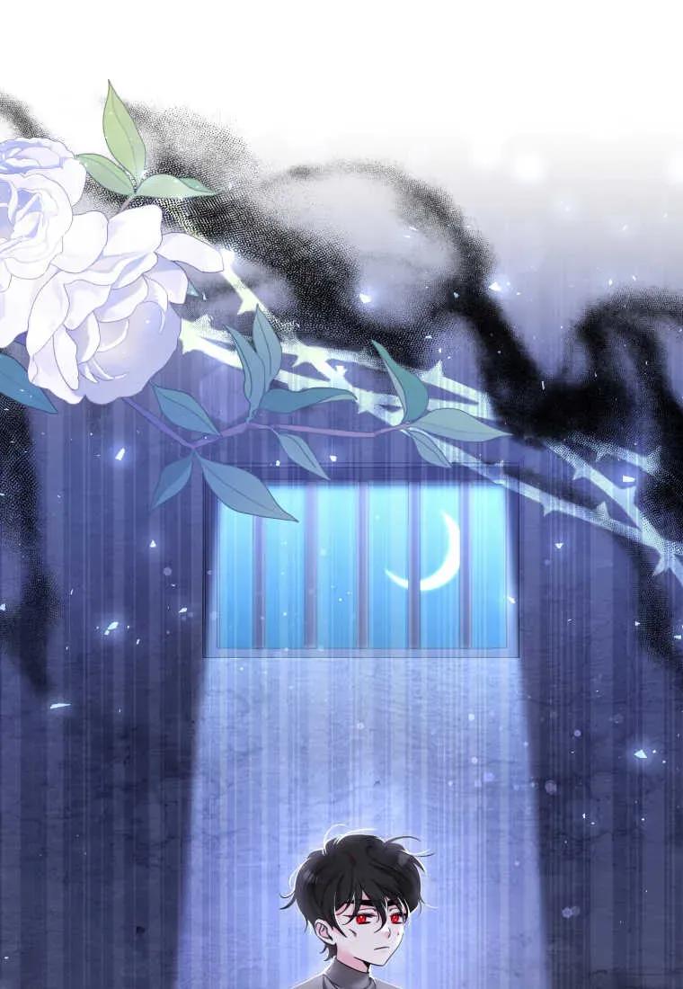 《小皇女药剂师》第38话 第84页