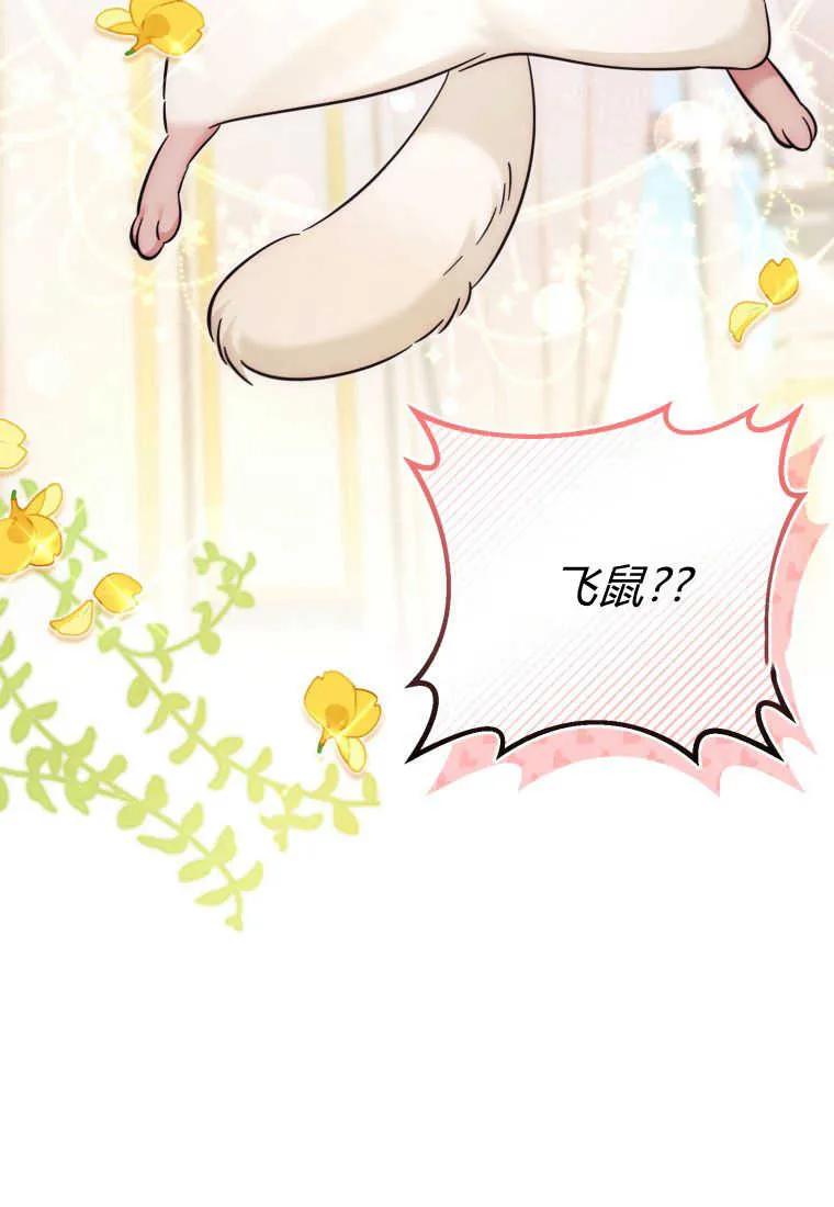 《小皇女药剂师》第41话 第54页