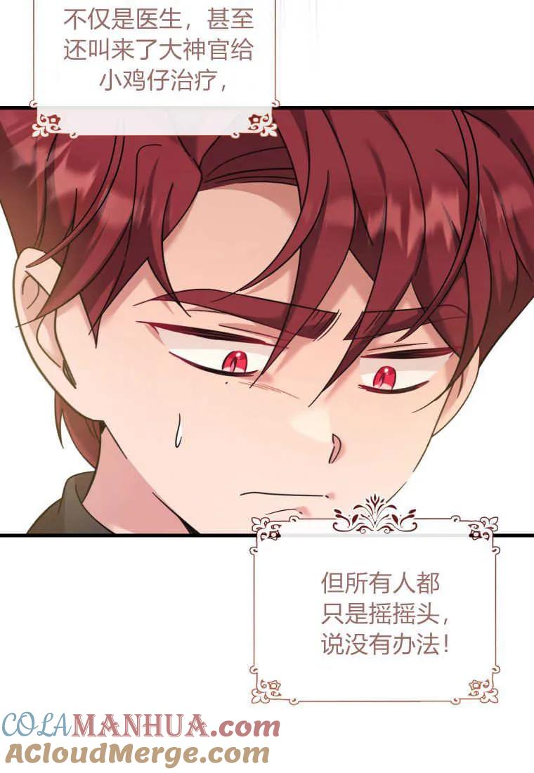 《小皇女药剂师》第44话 第29页