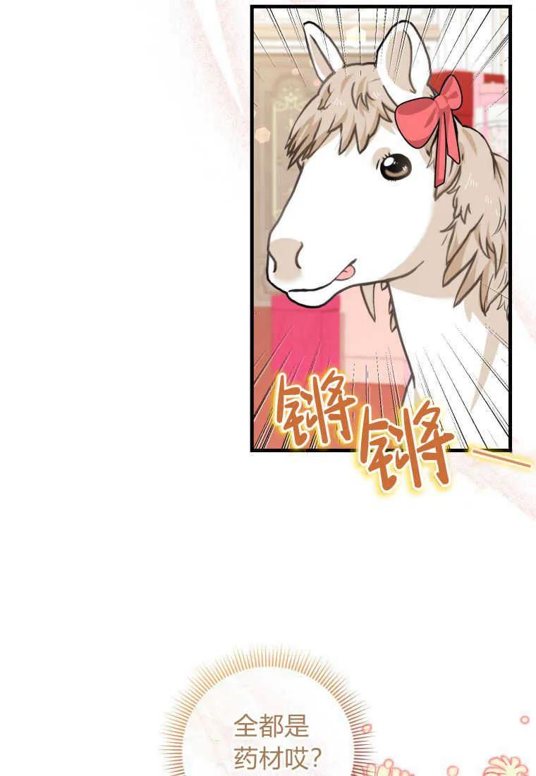 《小皇女药剂师》第49话 第62页