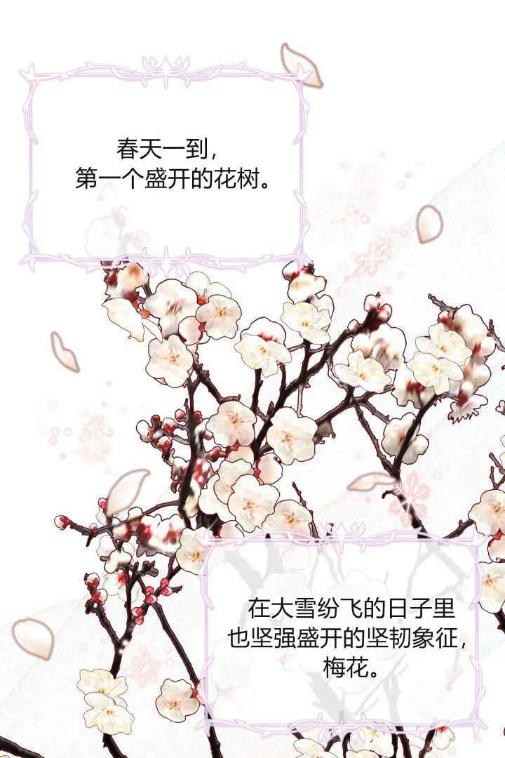 《小皇女药剂师》第07话 第39页