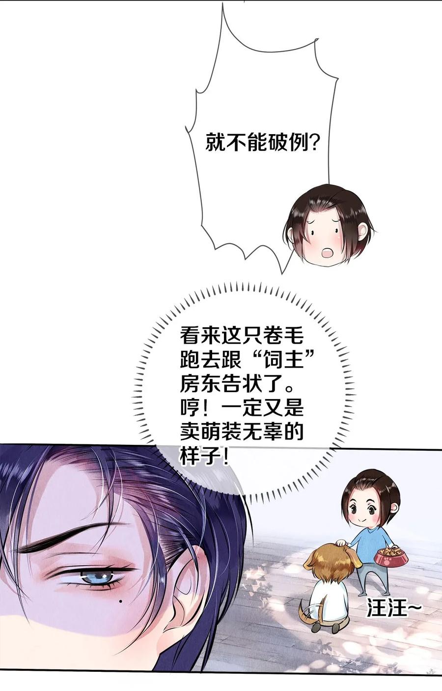 《校花与他的小卷毛》13 苦肉计 第11页