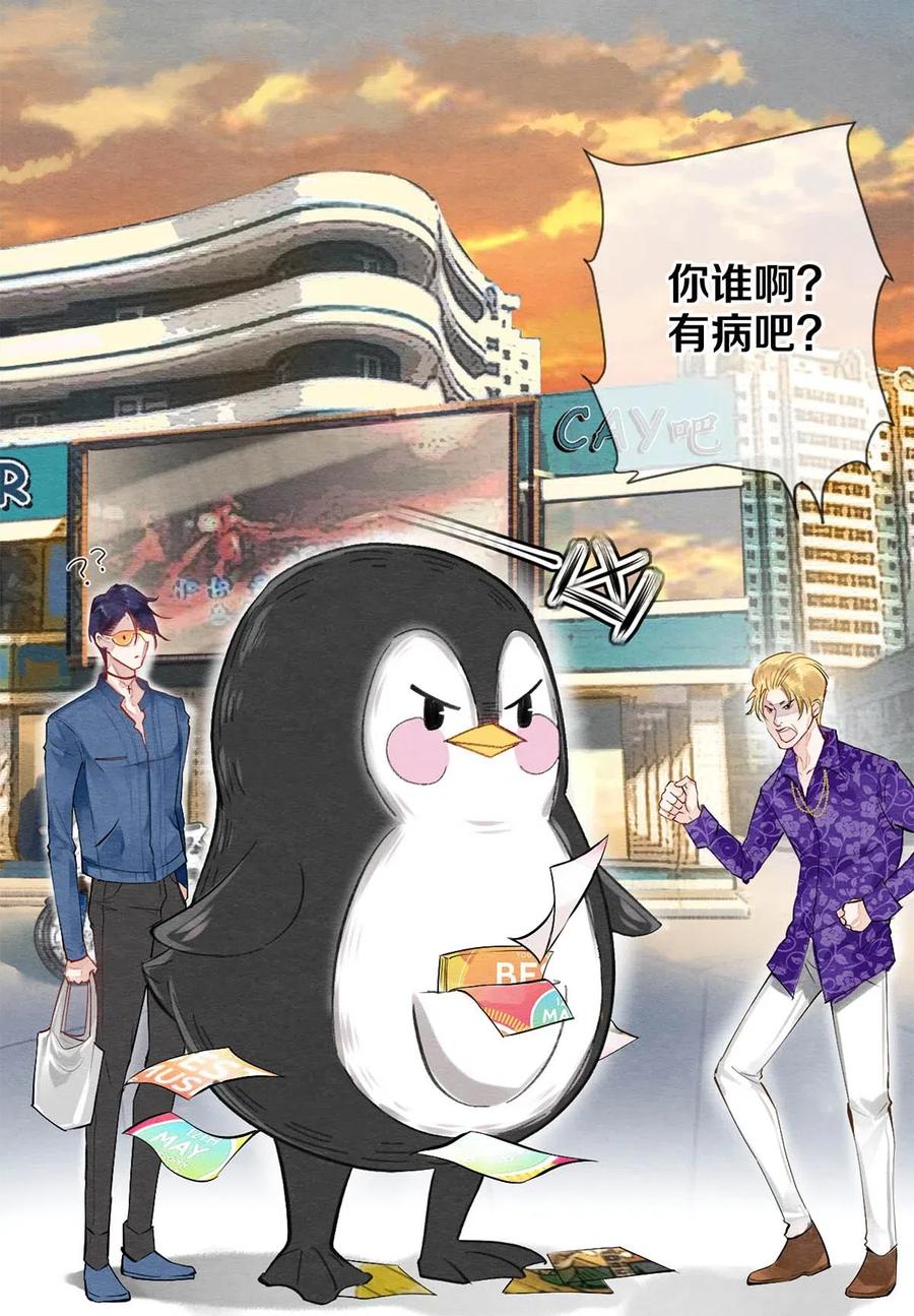 《校花与他的小卷毛》39 召唤兽是只企鹅 第17页