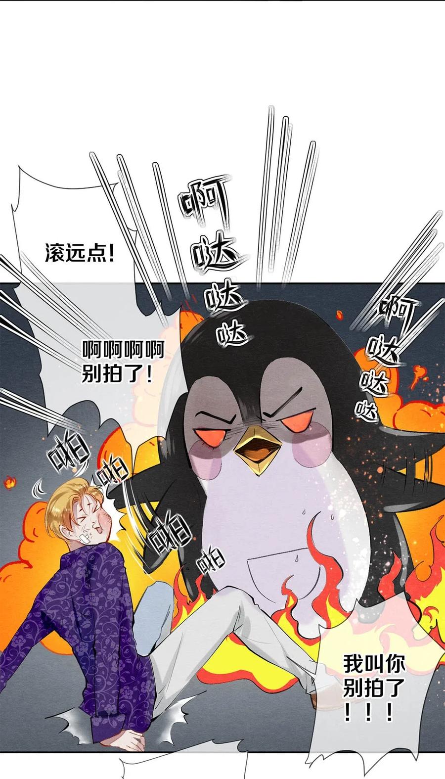 《校花与他的小卷毛》39 召唤兽是只企鹅 第21页