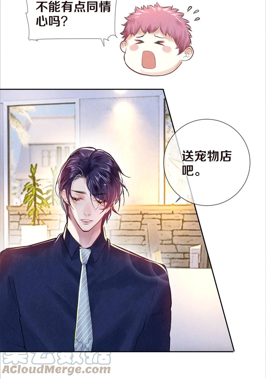 《校花与他的小卷毛》77 我们是在捉…… 第7页
