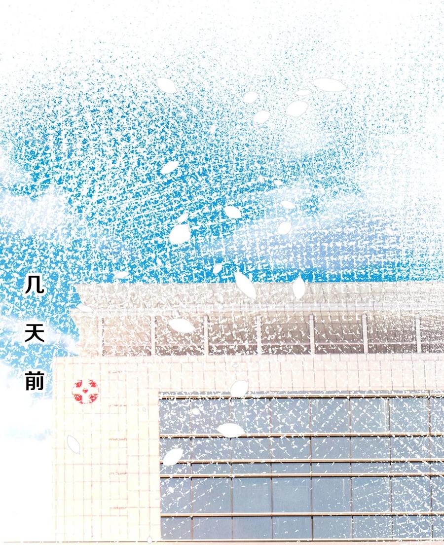 《校花与他的小卷毛》91 他会为了你毁了自己 第26页