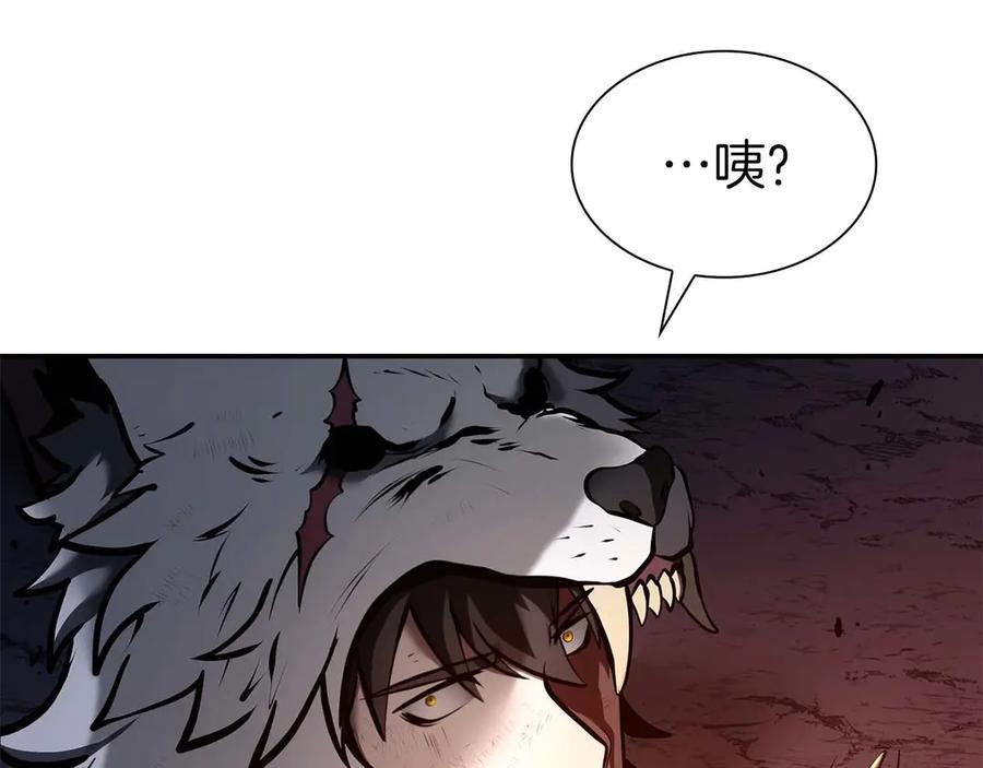 《重生后成为FFF级巫医》第64话 假的反而才是真货 第164页