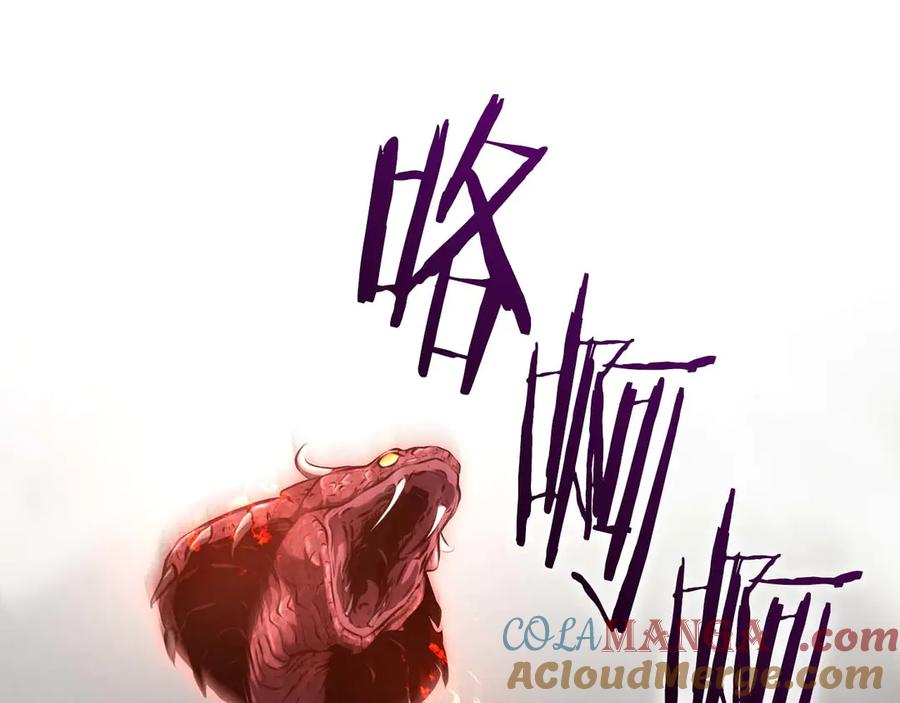 《重生后成为FFF级巫医》第64话 假的反而才是真货 第257页