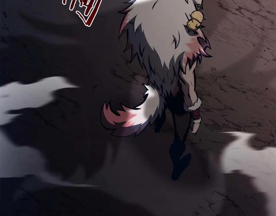 《重生后成为FFF级巫医》第64话 假的反而才是真货 第162页