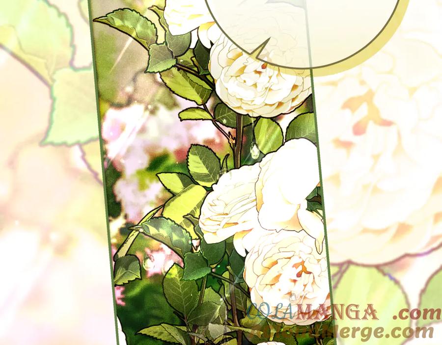 不幸的骑士，请和姐姐恋爱吧 - 第49话 审判时的女人 - 第101张图