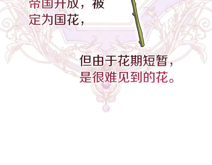 《小姐不愿意》第51话 皆大欢喜 第56页