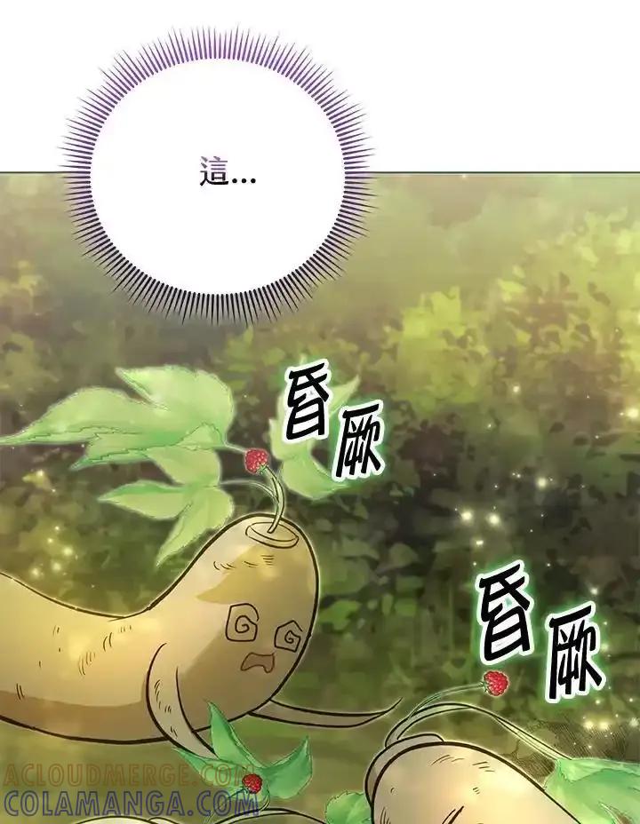 《反派千金的稻米栽培法》第41话 第97页