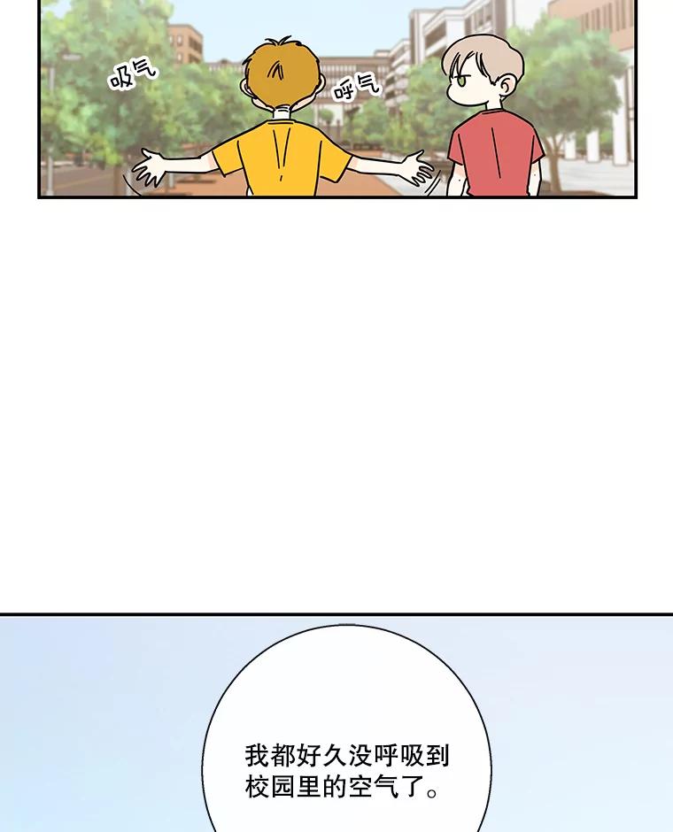 《追逐光的爱恋》51.开学了 第24页