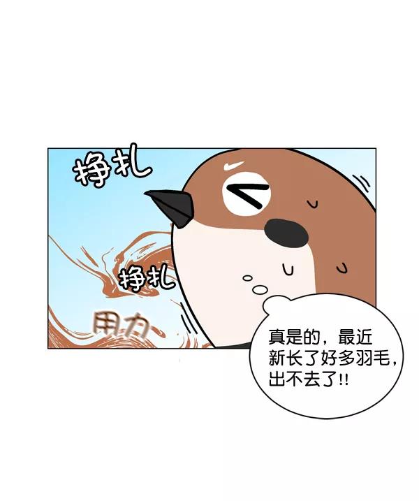 《小麻雀求婚记》第1话 第65页