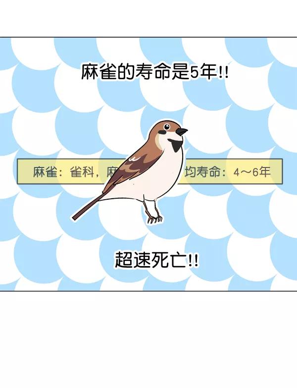 《小麻雀求婚记》第1话 第35页