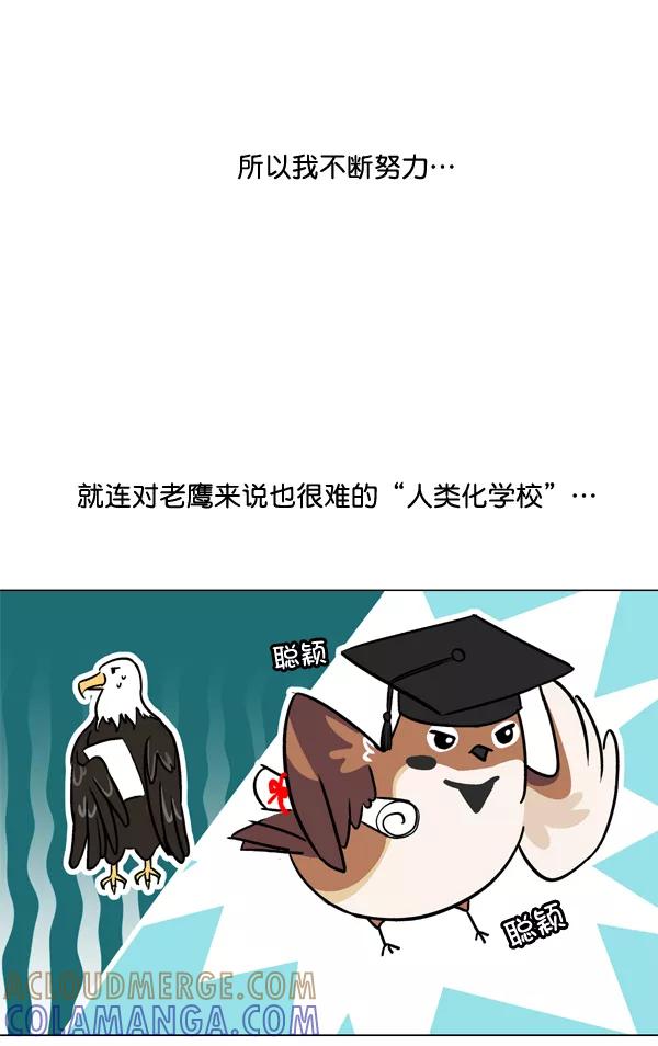 《小麻雀求婚记》第1话 第43页