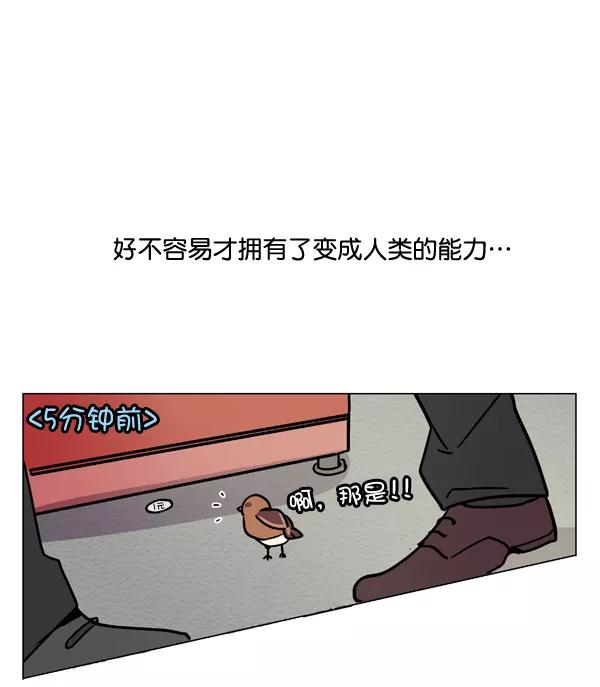《小麻雀求婚记》第1话 第30页
