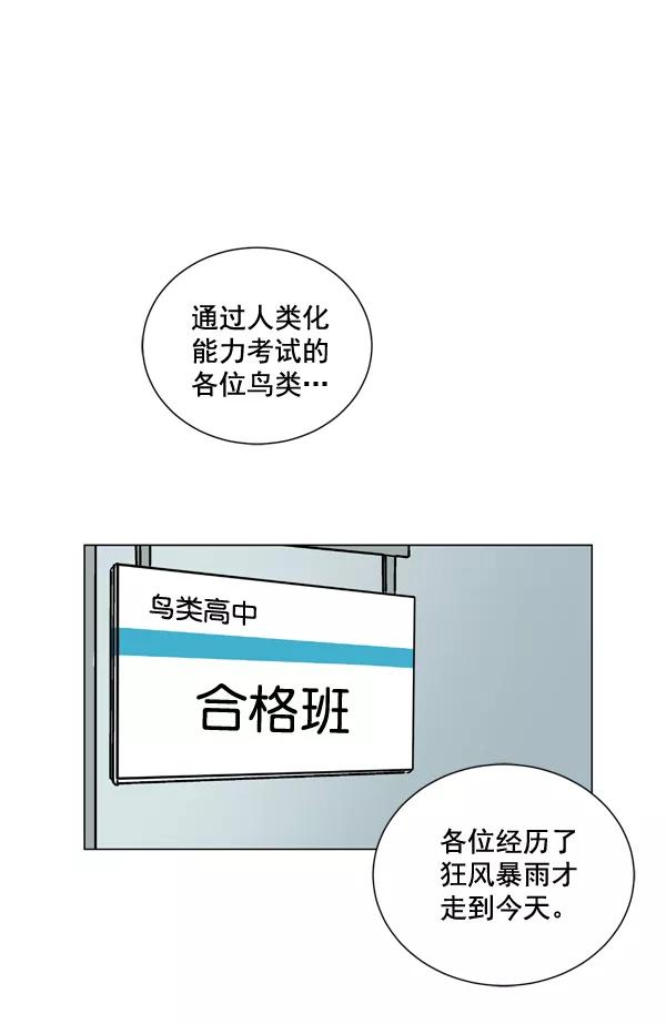 《小麻雀求婚记》第1话 第48页