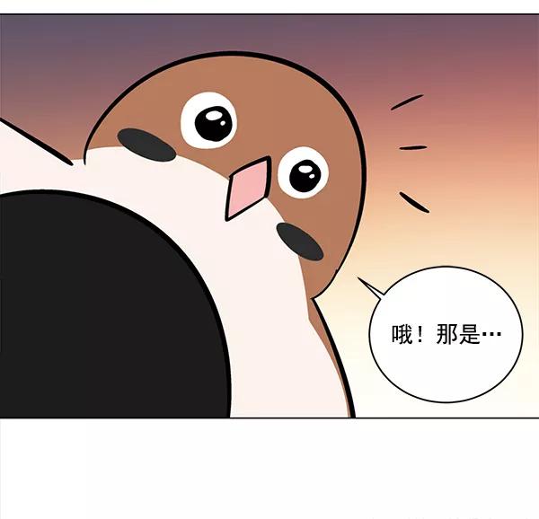 《小麻雀求婚记》第11话 第41页