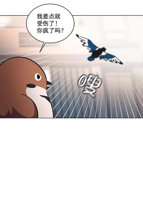 《小麻雀求婚记》第11话 第47页