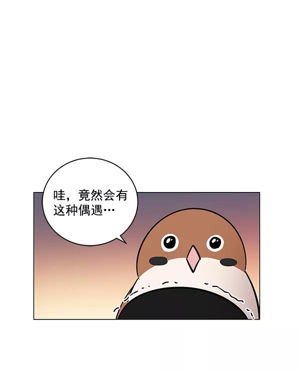 《小麻雀求婚记》第11话 第44页