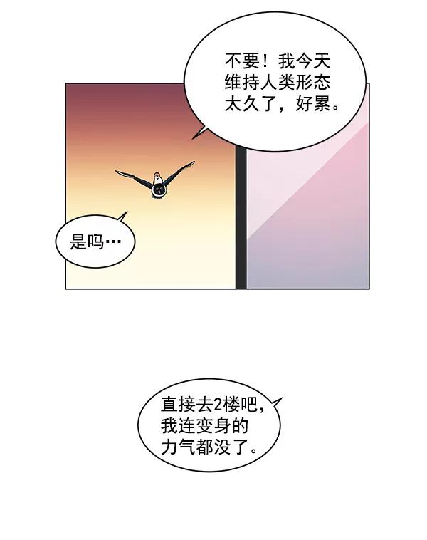 《小麻雀求婚记》第11话 第38页