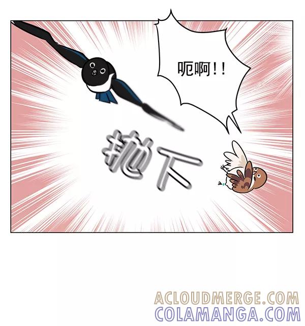 《小麻雀求婚记》第11话 第46页