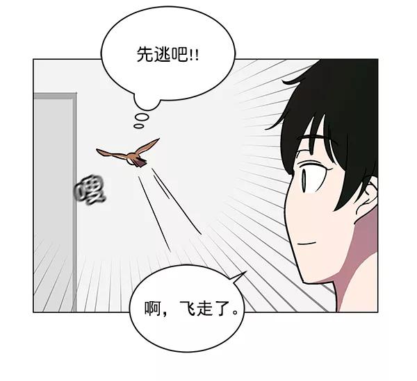 《小麻雀求婚记》第12话 第39页
