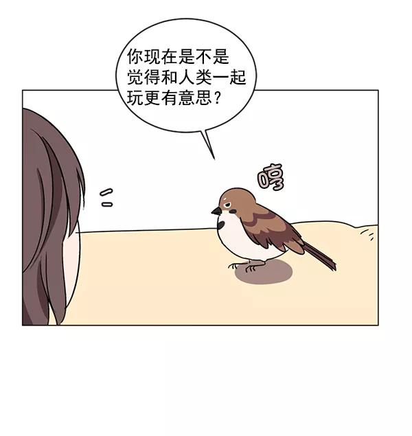 《小麻雀求婚记》第13话 第44页