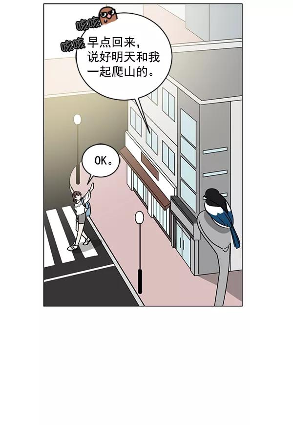 《小麻雀求婚记》第14话 第5页