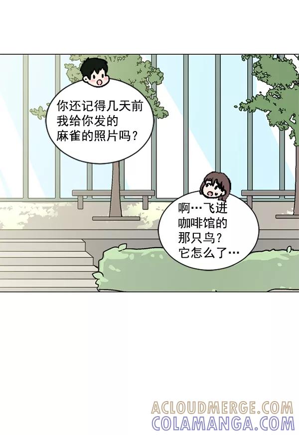 《小麻雀求婚记》第15话 第61页