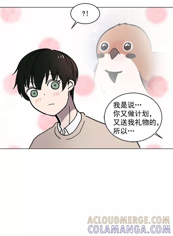 《小麻雀求婚记》第15话 第70页