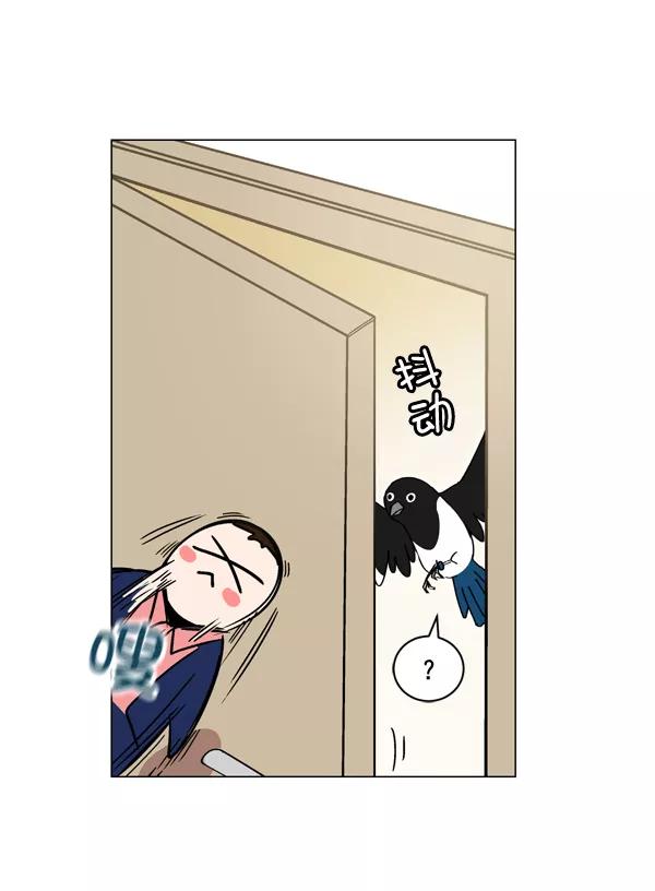 《小麻雀求婚记》第2话 第20页