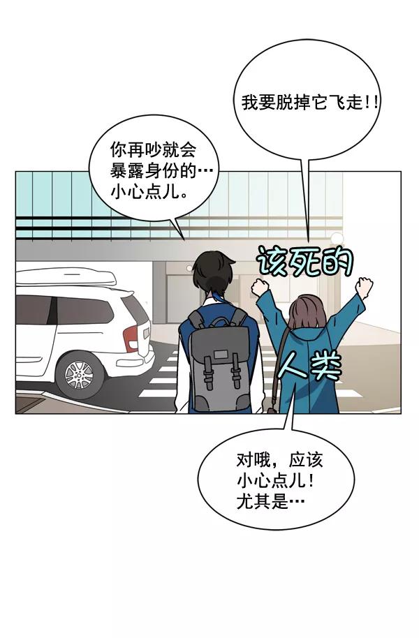 《小麻雀求婚记》第2话 第42页