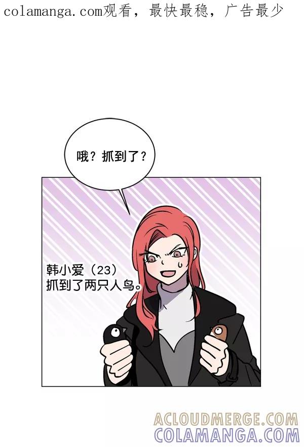 《小麻雀求婚记》第3话 第1页