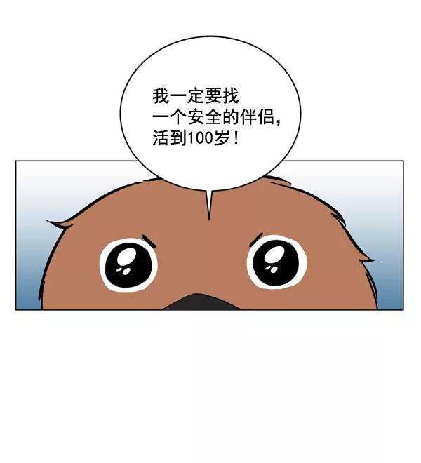《小麻雀求婚记》第4话 第45页
