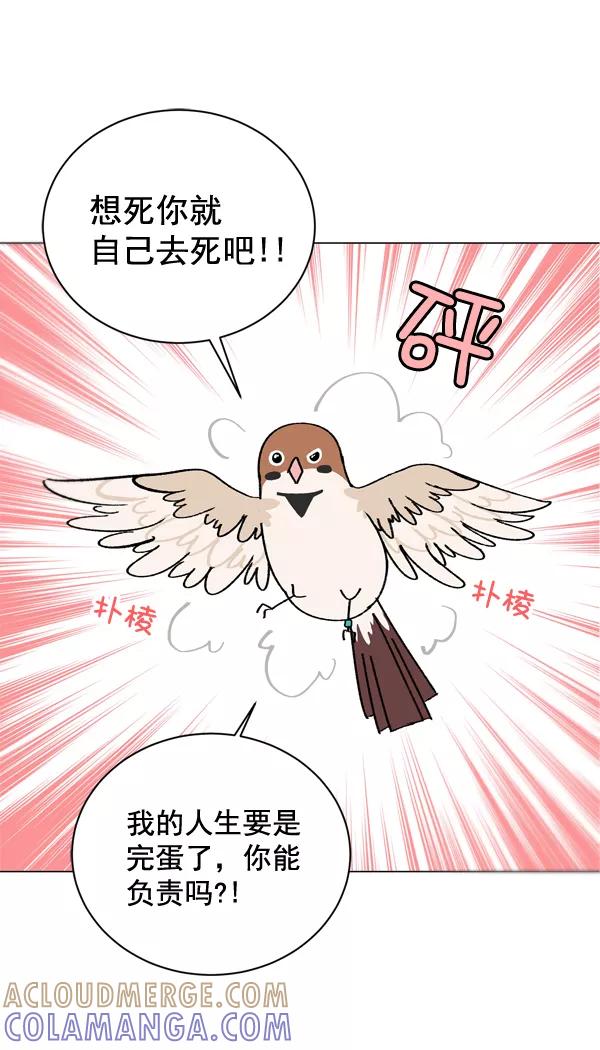 《小麻雀求婚记》第4话 第37页
