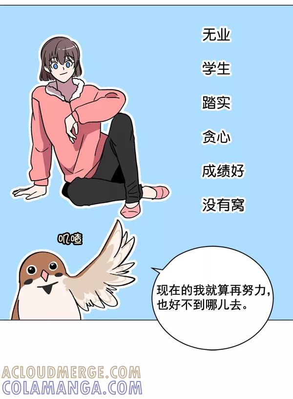 《小麻雀求婚记》第5话 第49页