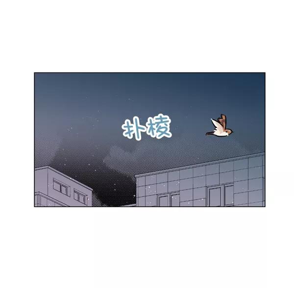 《小麻雀求婚记》第6话 第27页