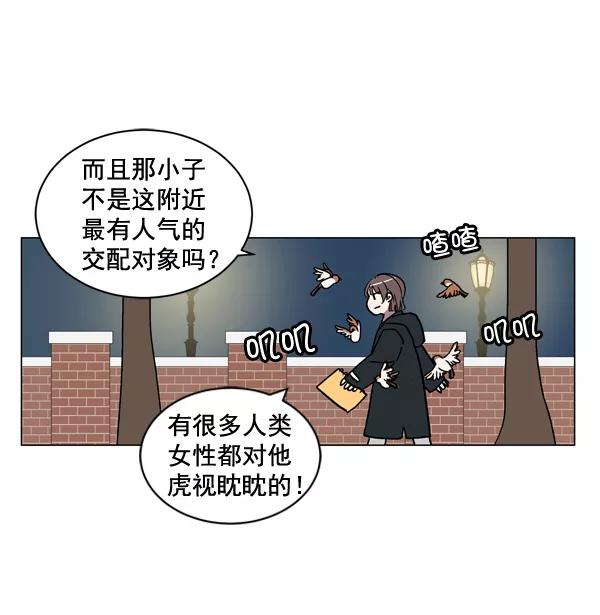 《小麻雀求婚记》第7话 第50页