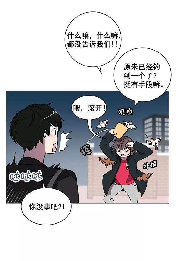《小麻雀求婚记》第7话 第41页