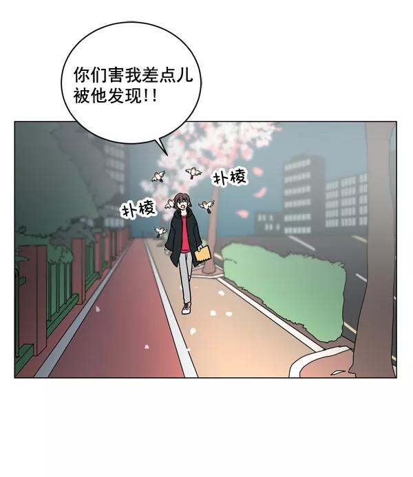 《小麻雀求婚记》第7话 第48页